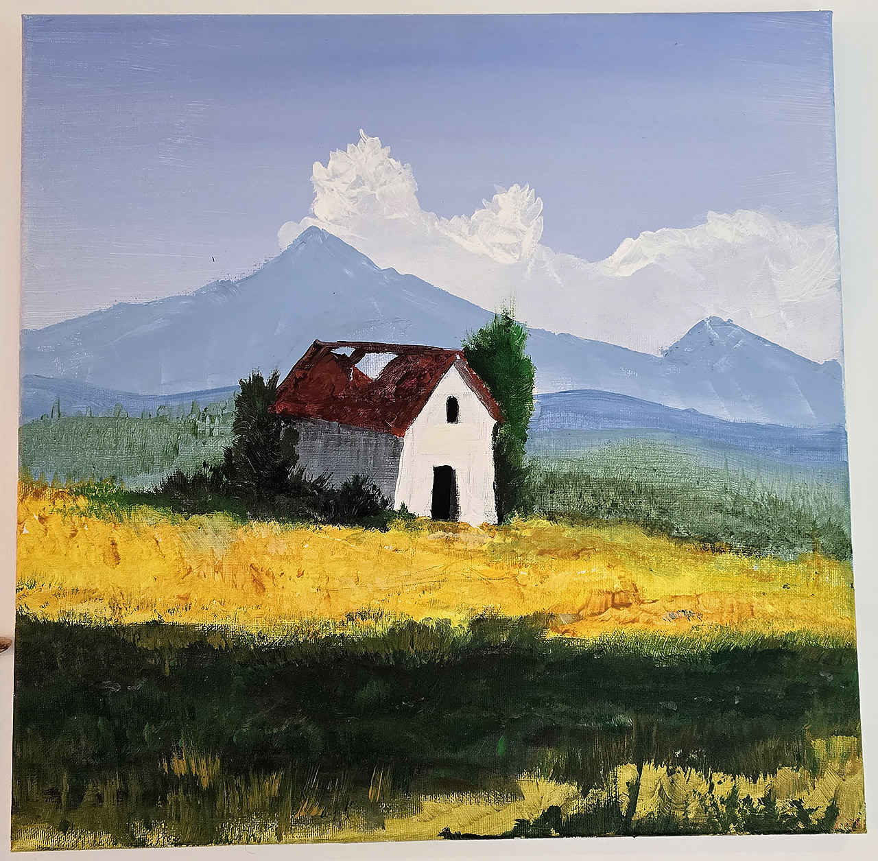 Peinture acrylique sur toile